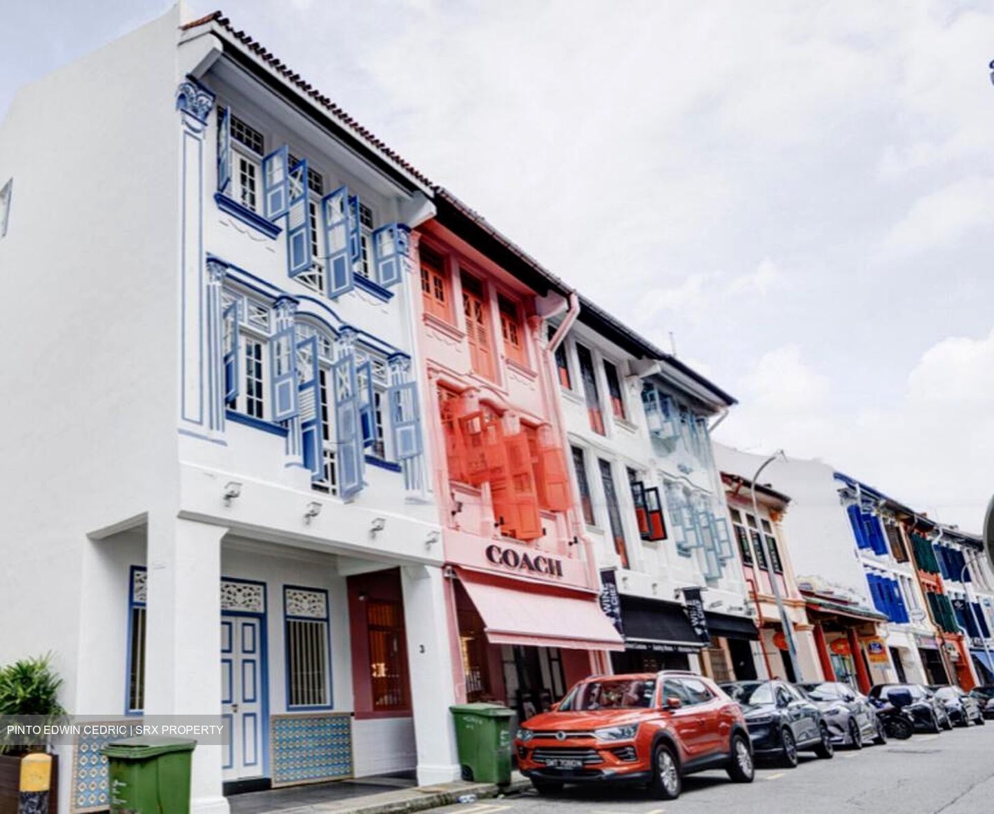 Bukit Pasoh Conservation Area (D2), Shop House #455732771